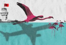 Aeroporti i ri në Shqipëri rrit shqetësimet mbi mjedisin dhe klientelizmin Albanian-Flamingo-Final