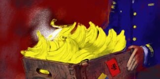 Albanian Drug Suspect’s Banana Bonanza Albanian Drug Suspect’s Banana Bonanza