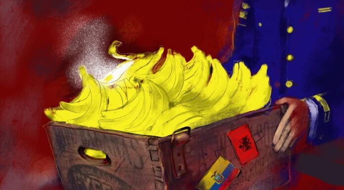 Albanian Drug Suspect’s Banana Bonanza Albanian Drug Suspect’s Banana Bonanza